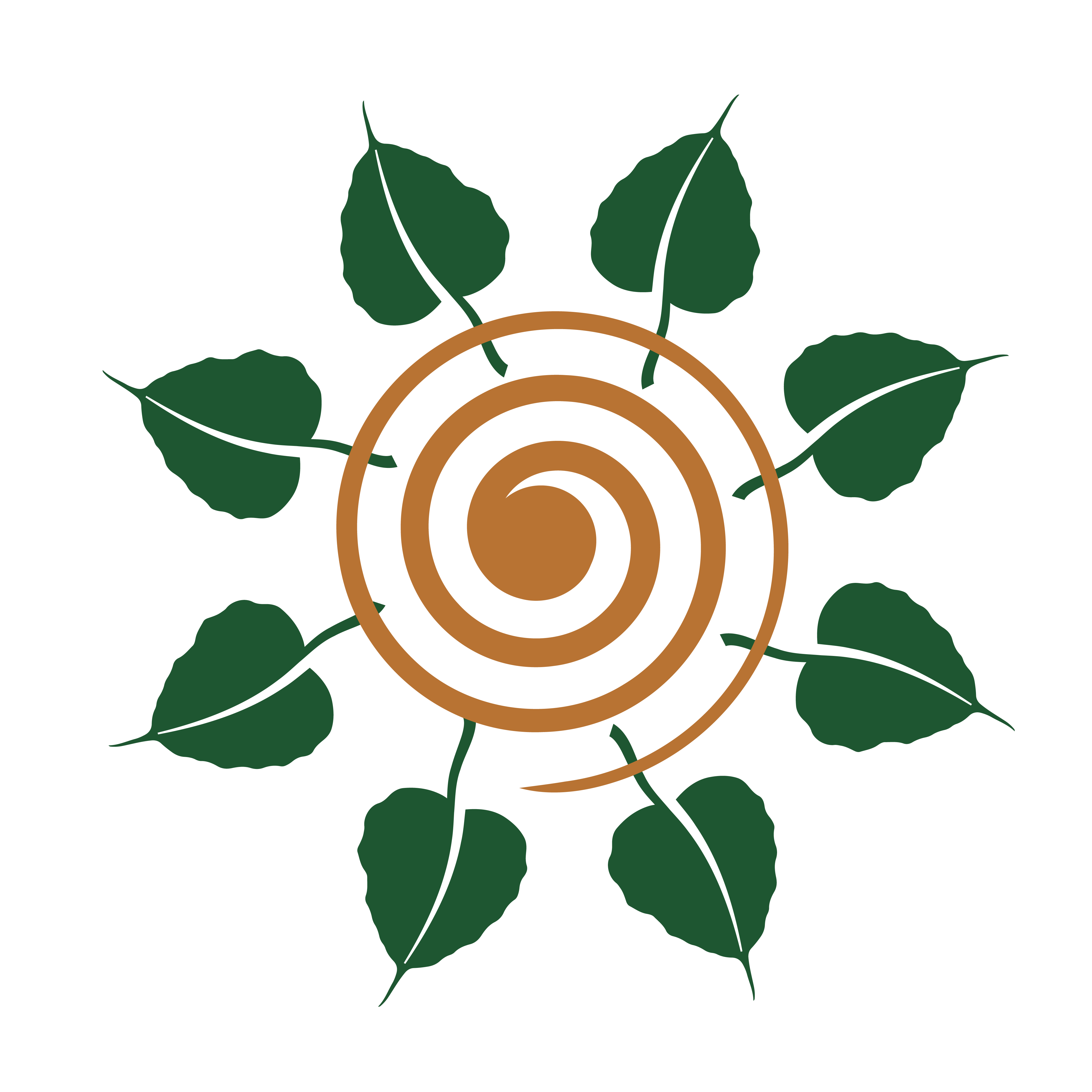 Sacred Spiral of Bhavani